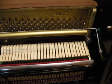 Идеальное фортепиано от Rosler-Petrof