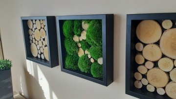 Живая рамка для фотографий, подушка из мха, дерево, 30см/30см