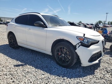 Alfa Romeo Stelvio 2020 Alfa Romeo Stelvio 2020 2.0l 2.0 Benzyna 280KM, zdjęcie 4