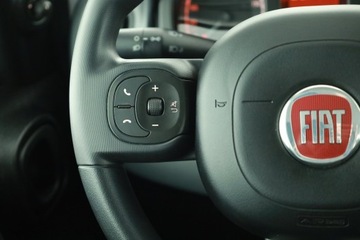 Fiat Panda III 2022 Fiat Panda 1.0 FireFly, Salon Polska, Serwis ASO, zdjęcie 13