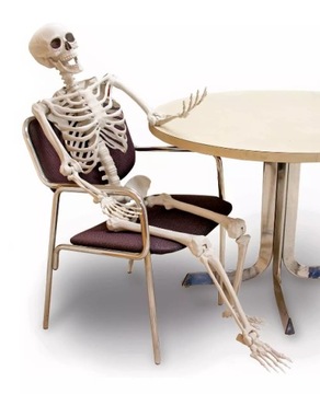 ИСКУССТВЕННЫЙ ЧЕРЕП СЕРЫЙ ЗАТЕНИРОВАННЫЙ 20 СМ