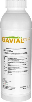 GAVIAL 375 SC 1l ŚRODEK PREPARAT NA ŁAMLIWOŚĆ ZGORZEL SEPTRIOZĘ FUZARIOZĘ
