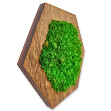 Настенное панно с натуральным мхом