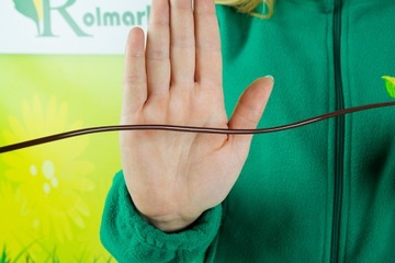 Диспенсер для полива растений, цветов, увлажнитель воздуха, СИСТЕМА ОРОШЕНИЯ, цветы, 2x