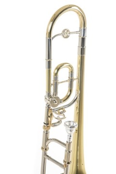 ROY BENSON TT-220 Детский тромбон Bb/C