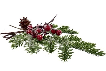 Веточка, украшение из боярышника, букет, украшение из ели