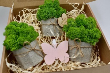 Весенний набор крабовых лесов