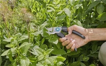 СРЕДСТВА ПРЕДОТВРАЩЕНИЯ ДЛЯ САДОВ ECOLINE B/S-M 12210-20 GARDENA