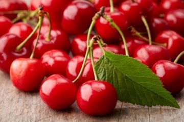 Микориза ВИШНЯ И ВИШНЯ крупные плоды 1,5л