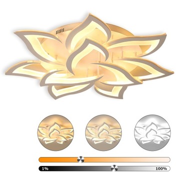 СВЕТОДИОДНАЯ ЛАМПА 60ВТ ПОТОЛОЧНЫЙ СВЕТ ПОТОЛОЧНЫЙ СВЕТ ЛЮСТРА
