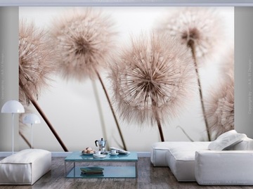 ФОТОобои ОДУВАНЧИКИ ПРИРОДА 350x256 b-B-0669-a-b