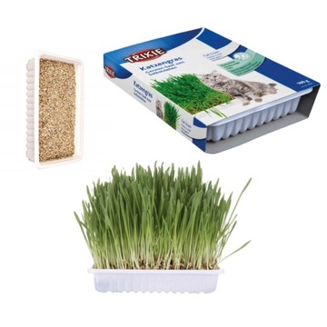 Trawa dla kota w pojemniku witaminy 100 g Trixie