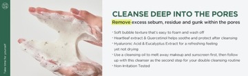 ANUA Heartleaf Quercetinol Пенка для глубокого очищения пор, 5,07 жидких унций (150 мл)