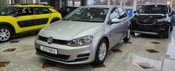 Volkswagen Golf VII Hatchback 3d 1.6 TDI-CR DPF 105KM 2013 Volkswagen Golf Golf 7 4x4 tylko 176 tys.przebiegu 1.6 Diesel 105KM, zdjęcie 11