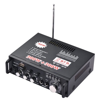 12V / 110V Mini wzmacniacz mocy audio 2CH 300W +