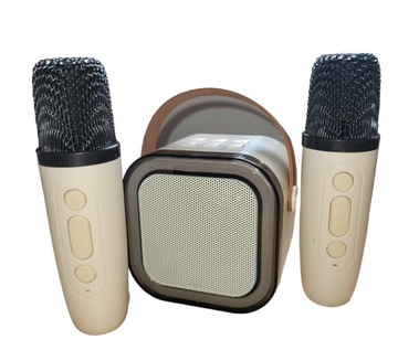 Караоке-набор 2 микрофона + беспроводной динамик