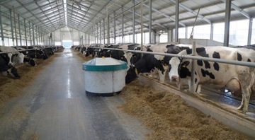 INSECT REPEAT FOGING - PERME PLUS 100 МЛ