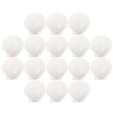 16 штук крупных раковин гребешков Обереги на руку