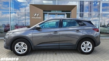 Opel 2021 Opel Grandland X 1.2 T GPF Edition Business Pack SampS, zdjęcie 1