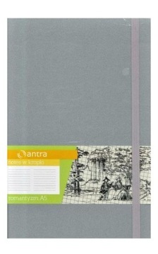 Блокнот Романтизм А5 в точку серебро/антра