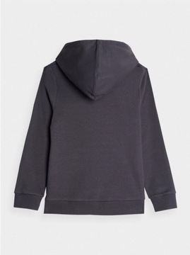СВИТШОТ С КАПЮШОНОМ 4F ДЛЯ МАЛЬЧИКОВ AW23M634