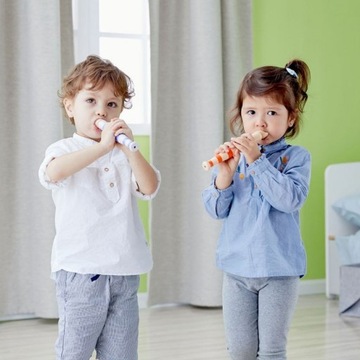 CLASSIC WORLD Деревянная флейта