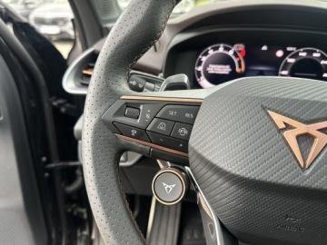 Cupra Terramar SUV 2.0 TSI 265KM 2025 Cupra Terramar VZ 2.0 TSI 265KM Pakiet Immersive P, zdjęcie 31