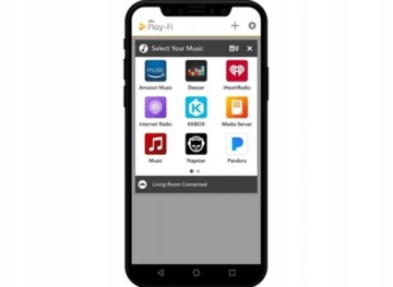 БЕСПРОВОДНОЙ СТРИМЕР-УСИЛИТЕЛЬ SVS PRIME SOUNDBASE - РОЗЕТКА