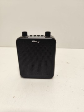 Усилитель голоса GIANT G300 1298/24