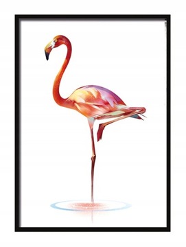 OBRAZ PLAKAT W RAMIE 53x73 cm Flaming P557