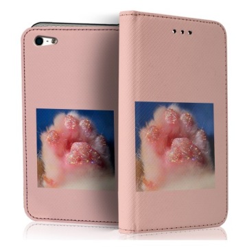 Pouzdro Sklo Pro Telefon Apple Iphone 5 5S Se Case Obal Sklo