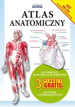 ATLAS ANATOMICZNY+ 3 PLAKATY