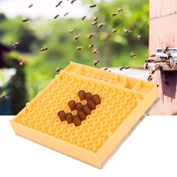 Набор чашек для выращивания пчел, оборудование для пчеловодства Queen Bee, 1 квартал