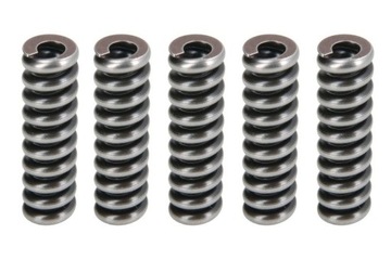 Sprężyna (cena za 5 szt.) BOSCH 2 434 614 055K