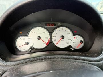 Peugeot 206 2004 Peugeot 206 Klimatyzacja - 1.4 hdi - 2004r, zdjęcie 8
