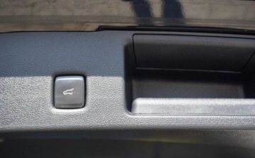 Ford Kuga III SUV 1.5 EcoBoost 150KM 2022 Ford Kuga Serwisowany 1-Wlasciciel ST-LINE Navi Kamera Virtual Asystenty E, zdjęcie 32