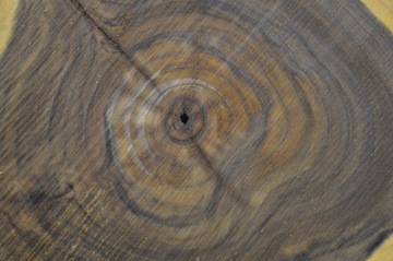 Сервировочный поднос ломтиком орехового дерева 40x35 Gr5