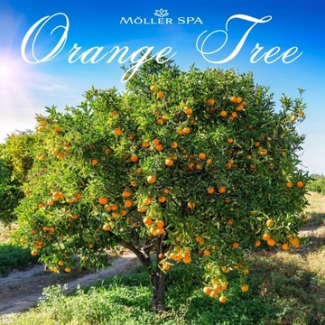 Möller SPA OIL ARGAN - ГЕЛЬ ДЛЯ ДУША ОРАНЖЕВЫЙ УНИСЕКС ПРЕМИУМ КАЧЕСТВА 5л