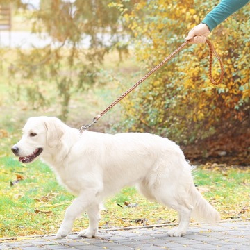 ЛИООБО 5 ШТ. ЗАЩЕЛКА С ДВУХКОНЦОВЫМ КРЮКОМ ИЗ ЦИНКОВОГО СПЛАВА