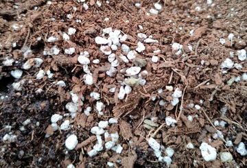 Substrat do wysiewu z włóknem kokosowym i perlitem