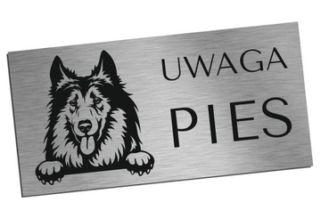 Tabliczka Uwaga Pies Owczarek Collie 10x20cm