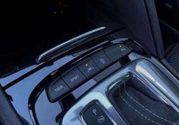 Opel Insignia II Sports Tourer 2.0 Turbo 260KM 2017 Opel Insignia OPC LINE 2.0T 260KM Automat 4x4 BOSE GWARANCJA bezwypadkow, zdjęcie 33