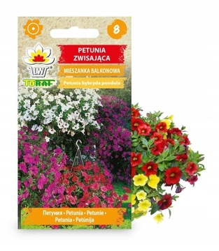 PETUNIA ZWISAJĄCA NASIONA MIX BALKONOWY TORAF MIESZANKA KWIATY PIĘKNE 0,3G