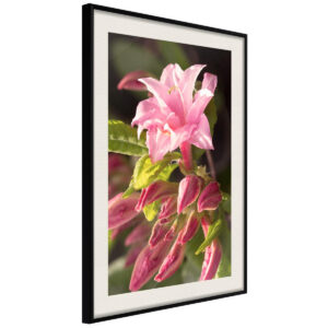 Obrazy do Kuchni Kwiaty Rośliny 40x60 Rama czarna