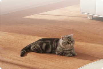 Умная камера Xiaomi C500 Pro 5 Мп HDR 2,4/5 ГГц Wi-Fi