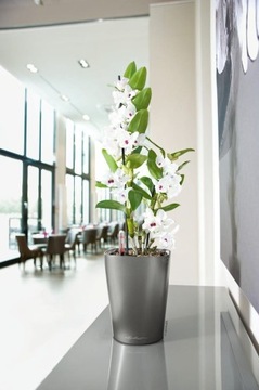 Мини-горшок Deltini темно-серый глянец Lechuza