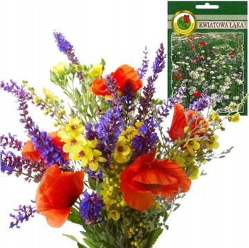 KWIATOWA ŁĄKA - miododajna mix kwiatów WIELOBARWNYCH- 20g
