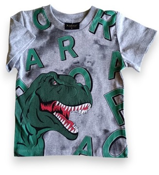T-shirt koszulka z dinozaurem szara 92