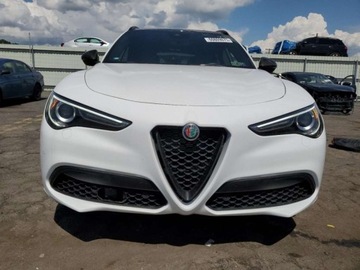 Alfa Romeo Stelvio SUV Facelifting 2.0 Turbo 280KM 2023 Alfa Romeo Stelvio 2023r., 4x4 2.0L 2.0 Benzyna 280KM, zdjęcie 4
