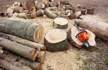 БЕНЗИНОВАЯ ПИЛА ЦЕПНАЯ ПИЛА 5,7 Л.С. МОЩНЫЙ БОЛЬШОЙ КОМПЛЕКТ + БЕСПЛАТНО